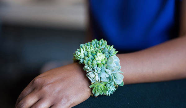 Live Succulent Jewels: Jewellery That Grows When Your Wear It