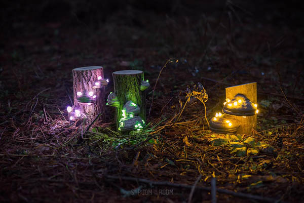 Magical Night Lamp Created from Crystals, Tree mushrooms and Timber