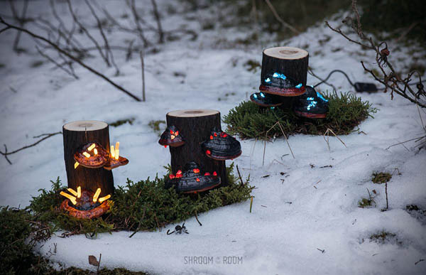 Magical Night Lamp Created from Crystals, Tree mushrooms and Timber