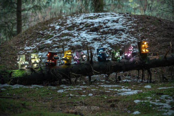 Magical Night Lamp Created from Crystals, Tree mushrooms and Timber