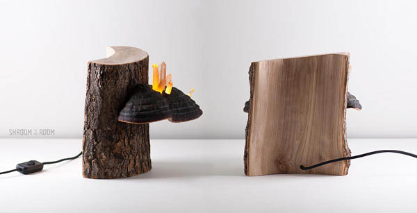 Magical Night Lamp Created from Crystals, Tree mushrooms and Timber