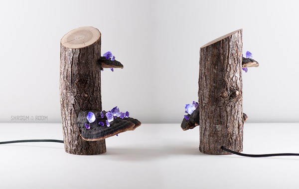 Magical Night Lamp Created from Crystals, Tree mushrooms and Timber