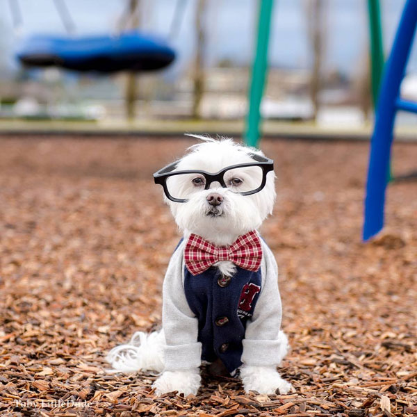 Toby: the Most Hipster Dude on Instagram