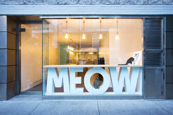 Meow Parlour: Cafe with Freely Roaming Cats in New York