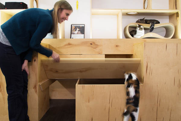 Meow Parlour: Cafe with Freely Roaming Cats in New York