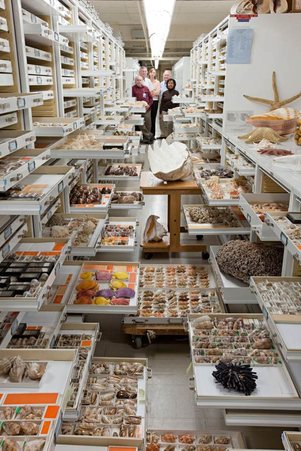 Behind-the-Scenes of the Smithsonian's National Museum's Warehouse of Natural History