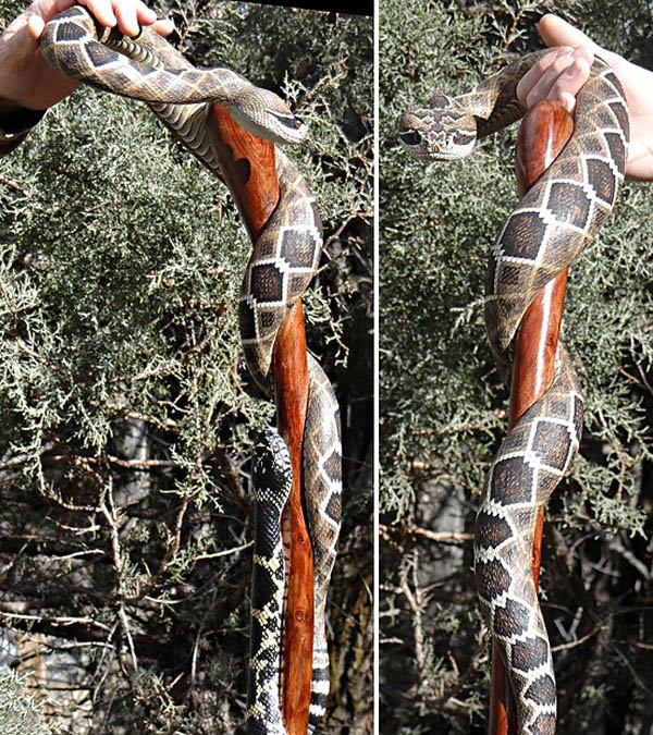 Incredibly Hyper-realistic Snake Walking Stick