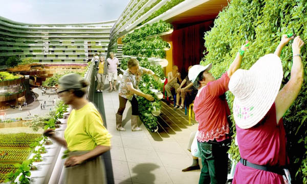 Homefarm: a Revolutionary Combination of Retirement Homes with Urban Vertical Farm