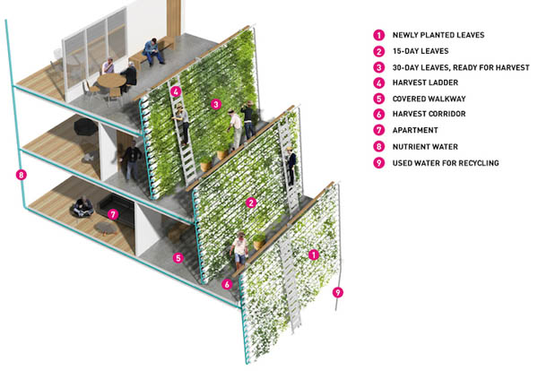 Homefarm: a Revolutionary Combination of Retirement Homes with Urban Vertical Farm