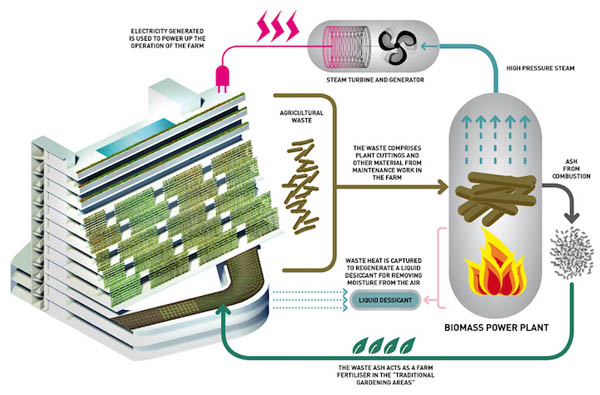 Homefarm: a Revolutionary Combination of Retirement Homes with Urban Vertical Farm