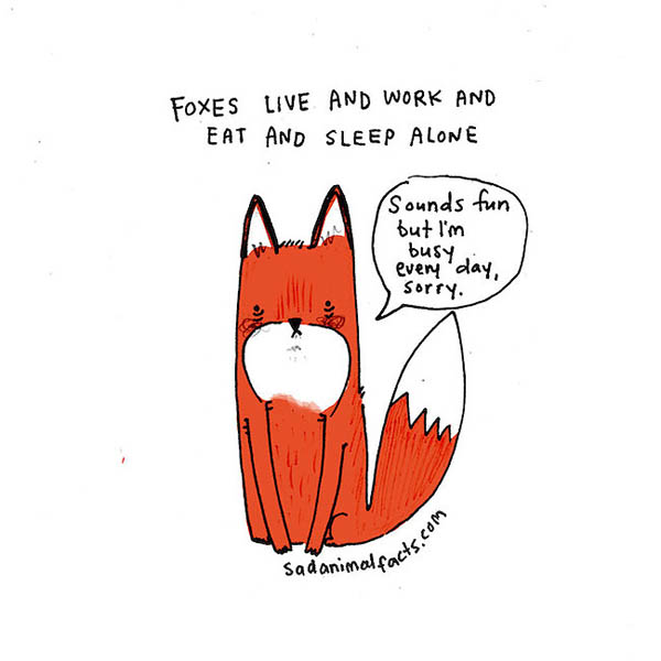 Sad Animal Facts: Cute Illustrations with Sobering Facts