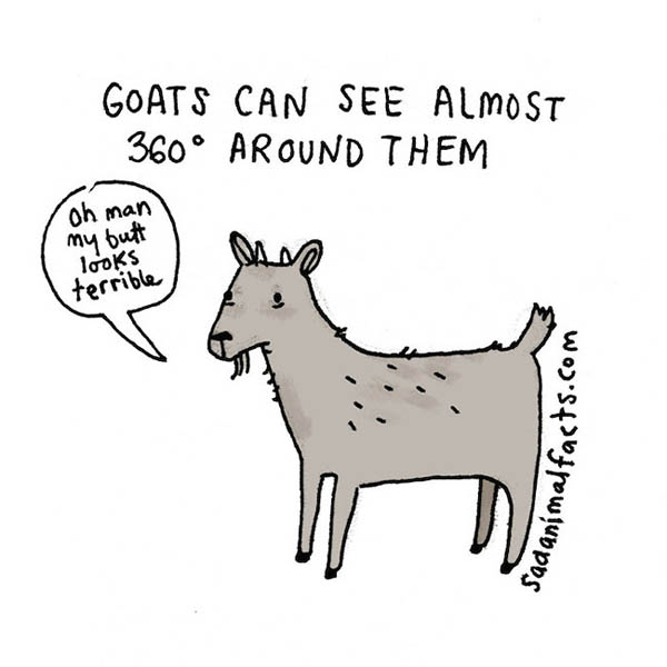 Sad Animal Facts: Cute Illustrations with Sobering Facts