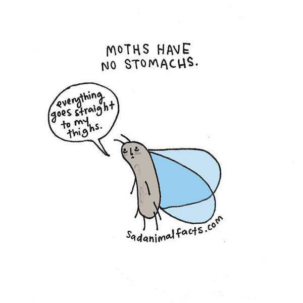 Sad Animal Facts: Cute Illustrations with Sobering Facts