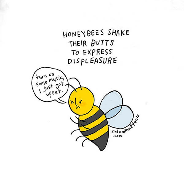 Sad Animal Facts: Cute Illustrations with Sobering Facts