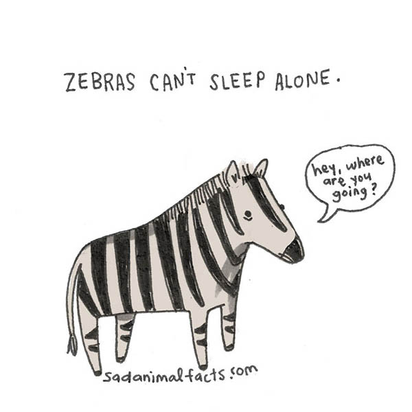 Sad Animal Facts: Cute Illustrations with Sobering Facts