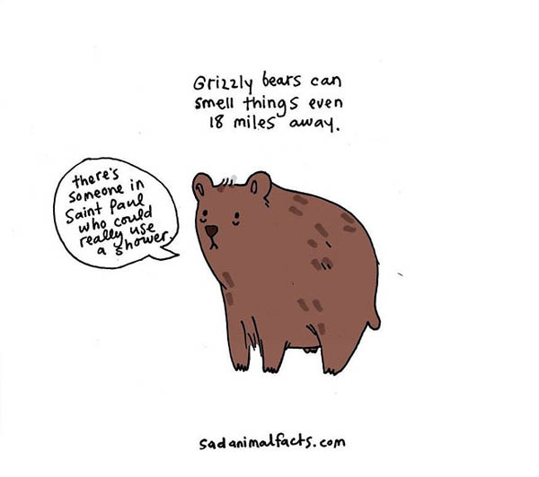 Sad Animal Facts: Cute Illustrations with Sobering Facts