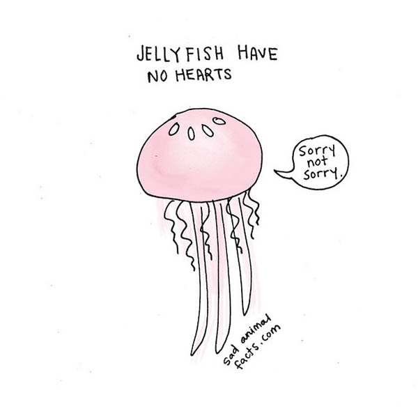 Sad Animal Facts: Cute Illustrations with Sobering Facts