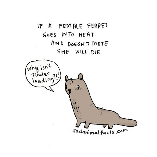 Sad Animal Facts: Cute Illustrations with Sobering Facts