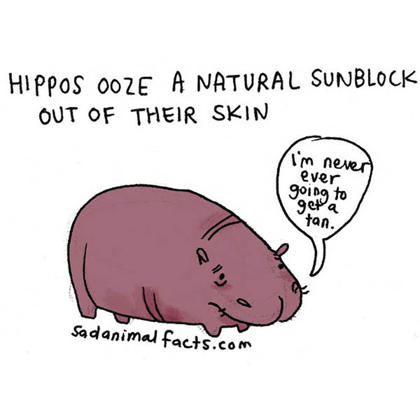 Sad Animal Facts: Cute Illustrations with Sobering Facts