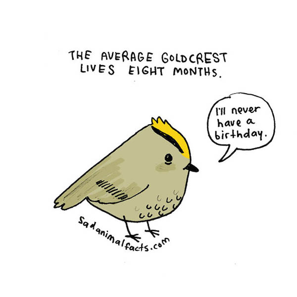 Sad Animal Facts: Cute Illustrations with Sobering Facts