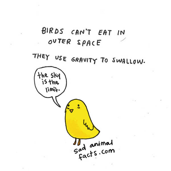 Sad Animal Facts: Cute Illustrations with Sobering Facts