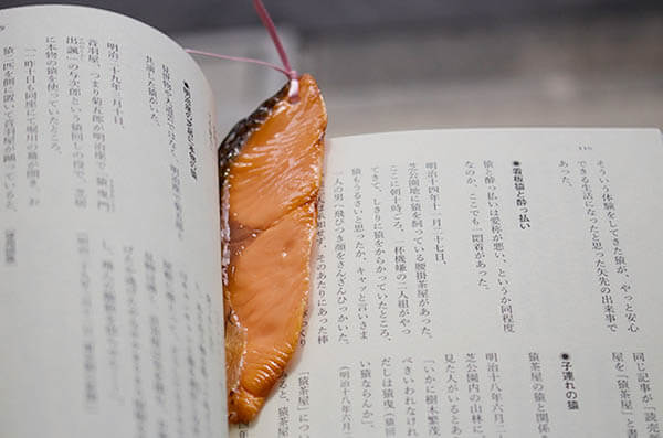 Unusual Lifelike Fake Food Bookmarks from Japan