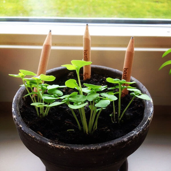 Sprout Pencil: Giving Birth to the New Life with Worn-out Writing Utensils