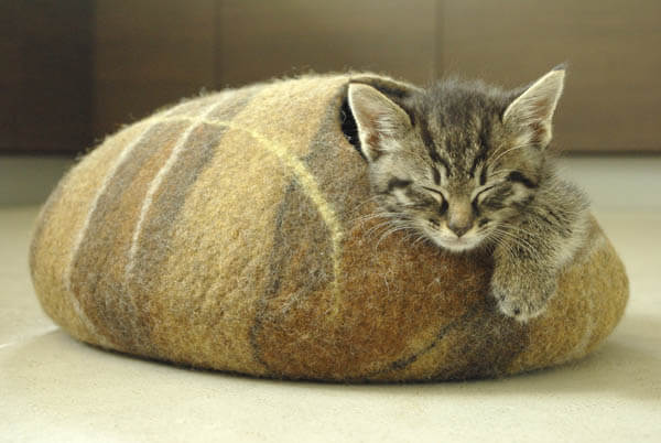 Contemporary Cat Bed and Cat Cave by Elevele