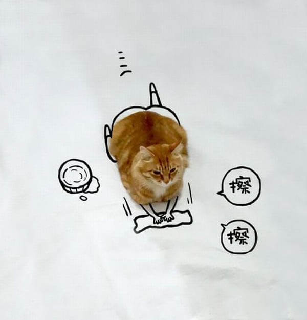 Hilarious Cat Doodle Challenging
