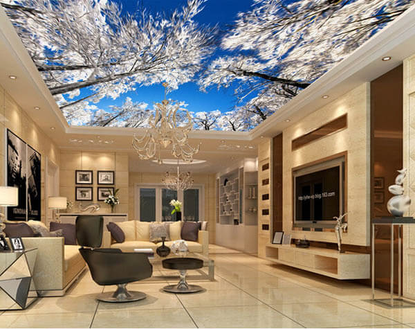 30 Creative and Unusual Ceiling Designs