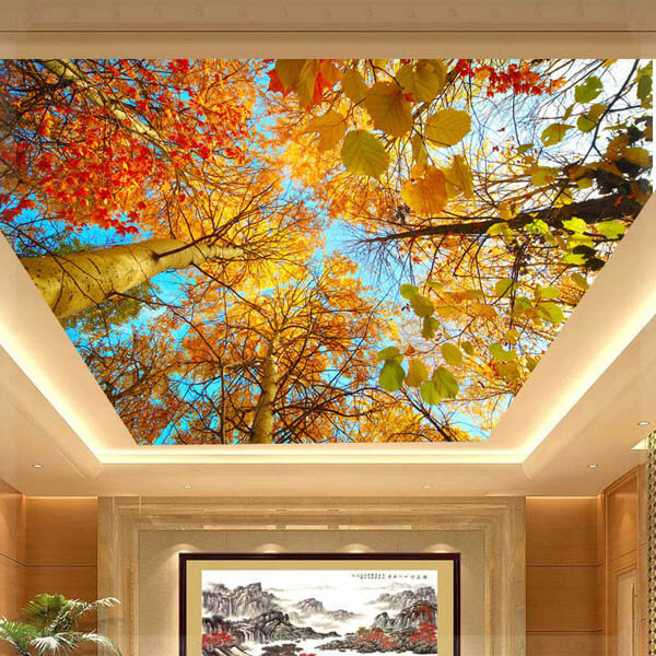 30 Creative and Unusual Ceiling Designs