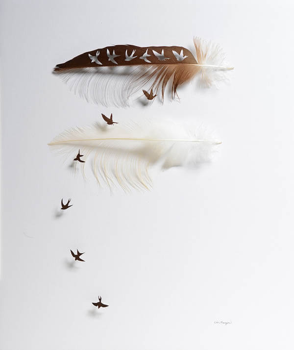 Stunning Art of Sculpting with Feathers