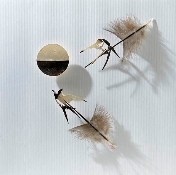 Stunning Art of Sculpting with Feathers