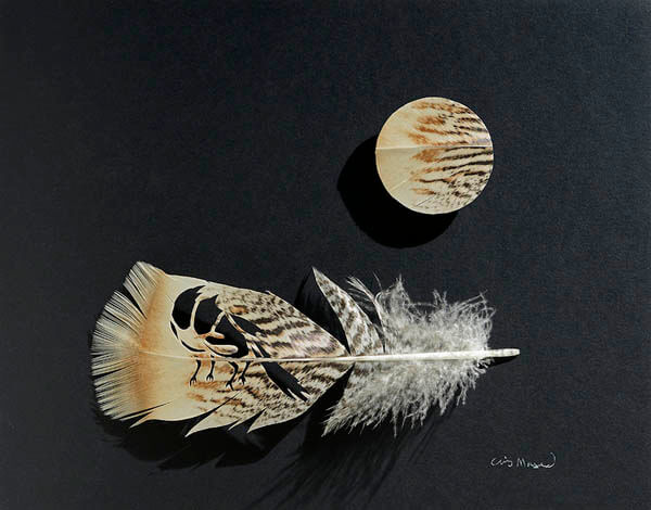 Stunning Art of Sculpting with Feathers
