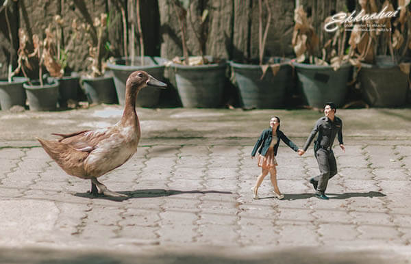 Whimsical Wedding Photography Which Places Couples in Tilt-shift World