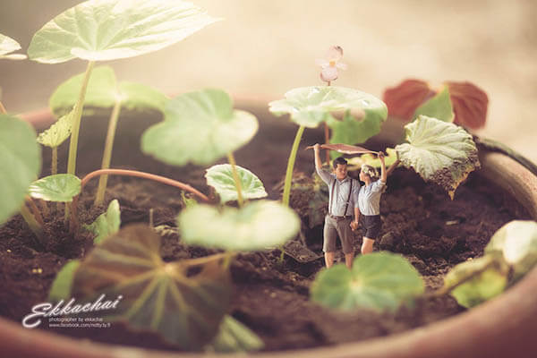 Whimsical Wedding Photography Which Places Couples in Tilt-shift World