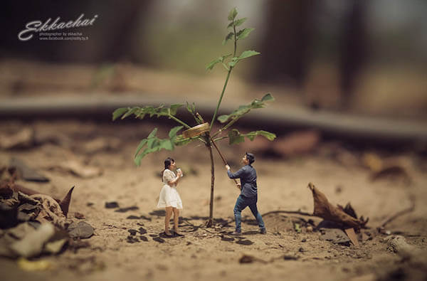 Whimsical Wedding Photography Which Places Couples in Tilt-shift World