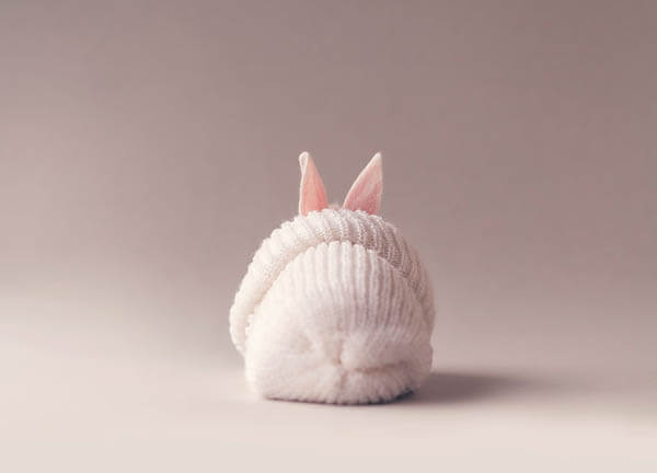 Adorable Photos of Newborn Baby Bunny