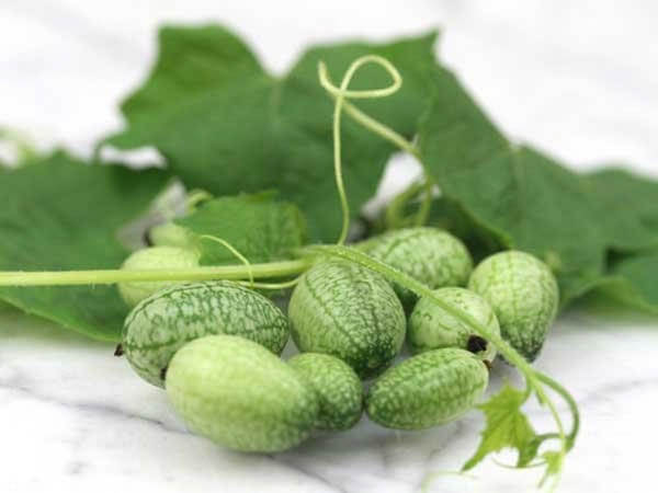 Cucamelon: a Grape Size Watermelon Looking Cucumber