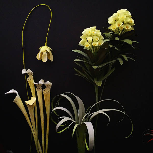 Lifelike Paper Flowers and Plants
