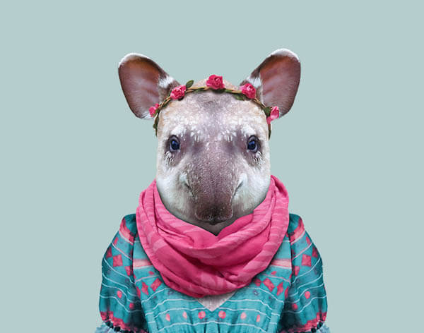 Cute Images of Animal Babies Photoshoped on Well Dressed Human Body