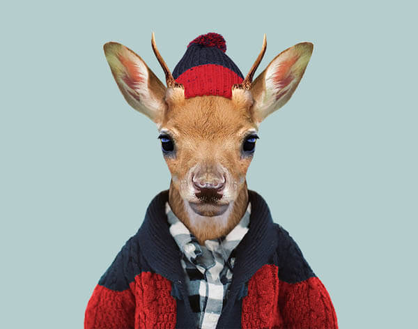 Cute Images of Animal Babies Photoshoped on Well Dressed Human Body