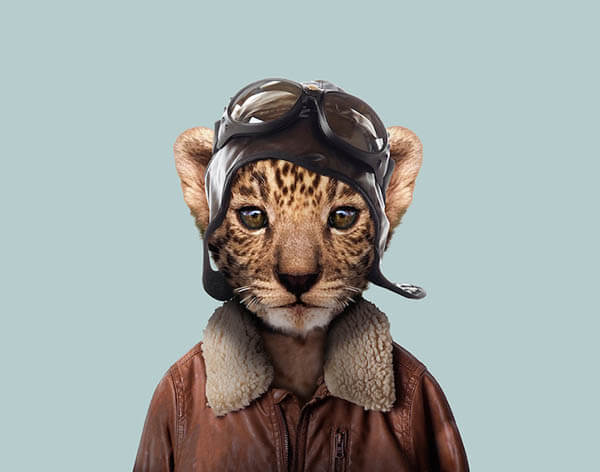 Cute Images of Animal Babies Photoshoped on Well Dressed Human Body