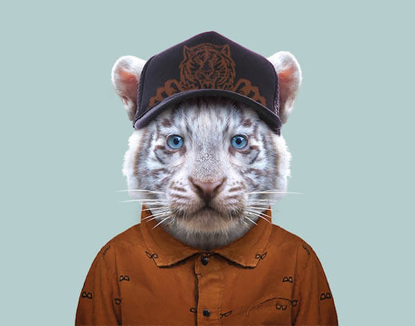 Cute Images of Animal Babies Photoshoped on Well Dressed Human Body
