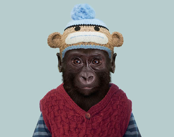 Cute Images of Animal Babies Photoshoped on Well Dressed Human Body