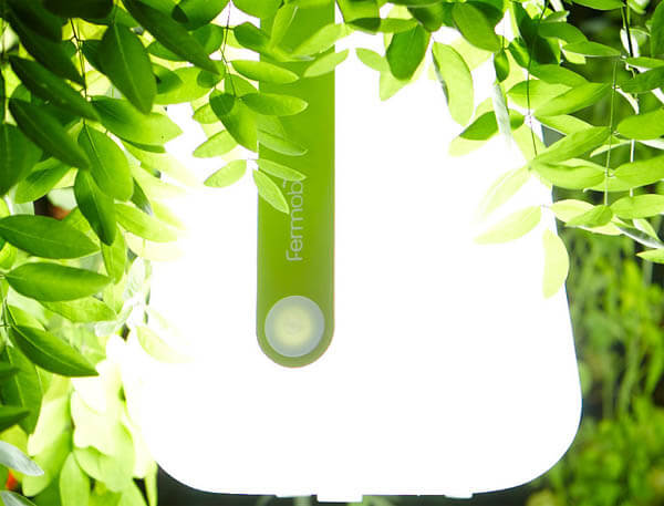 Balad: Lantern Style Detachable LED Lamp
