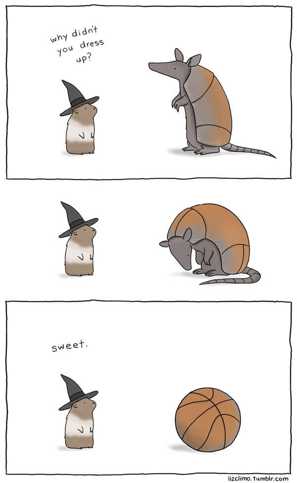 What Animals Would Do If They Celebrated Halloween As We Do