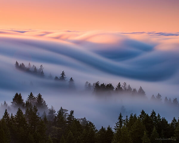 Fog Waves: One of the Most Unusual Scenes I have even Seen