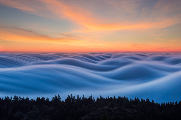 Fog Waves: One of the Most Unusual Scenes I have even Seen