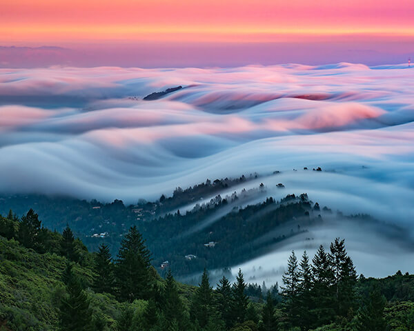 Fog Waves: One of the Most Unusual Scenes I have even Seen